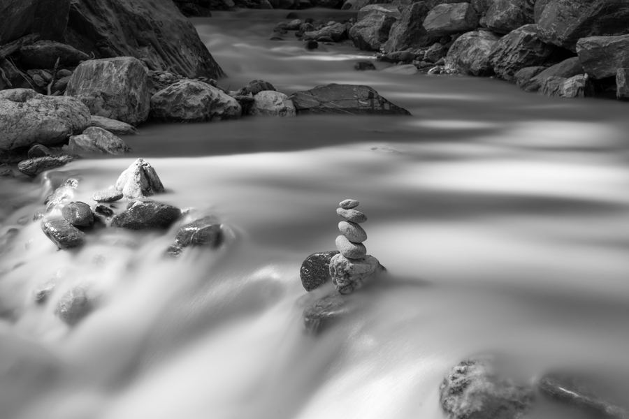 Monochrome — 17