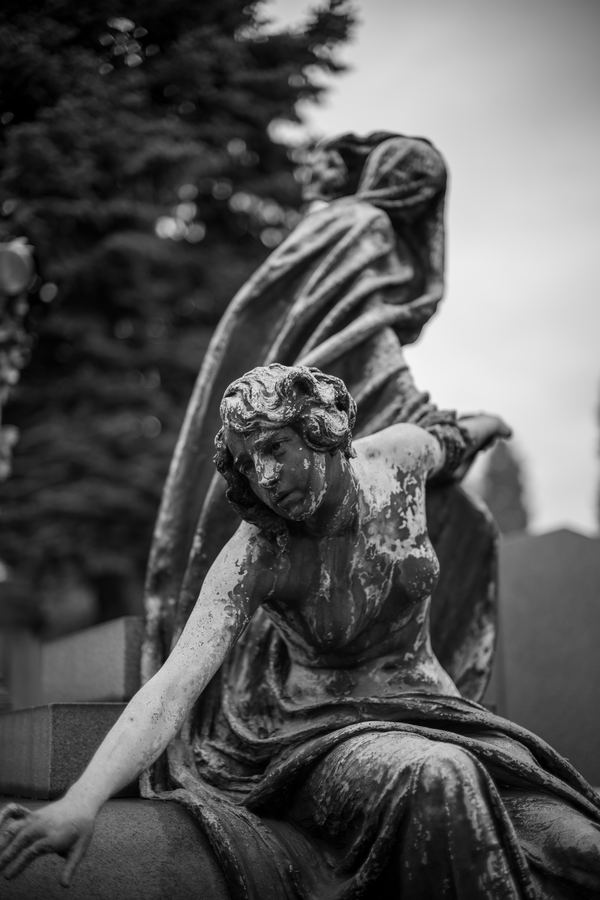 Monochrome — 27