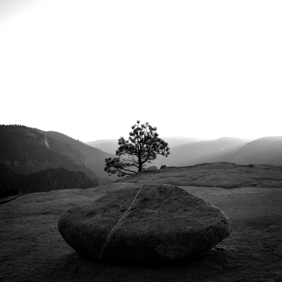 Monochrome — 03