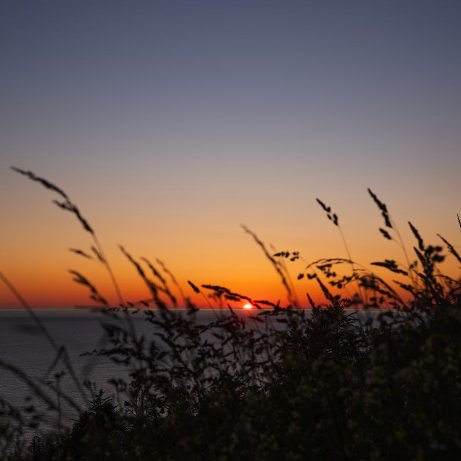 Horizons — 30